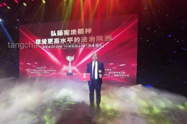 🔥狂野时代下的荣耀印记：戛纳特别奖背后的创新含金量探索✨
